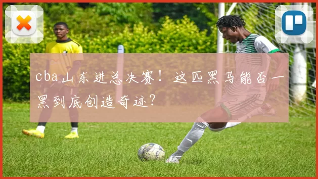 cba山东进总决赛!这匹黑马能否一黑到底创造奇迹?