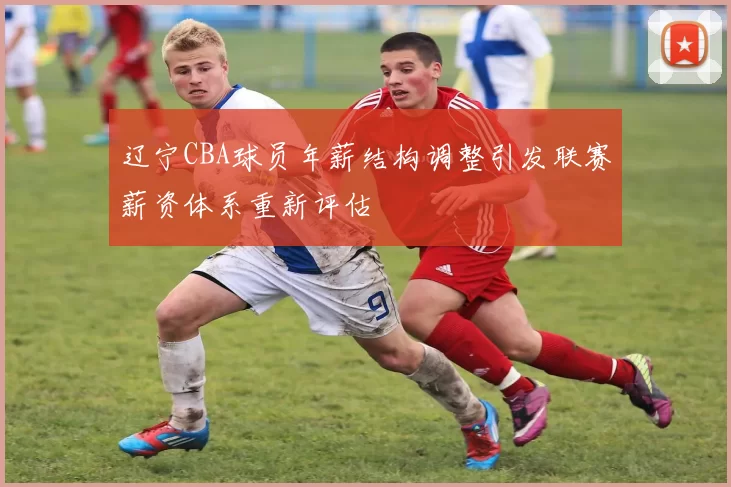 辽宁CBA球员年薪结构调整引发联赛薪资体系重新评估