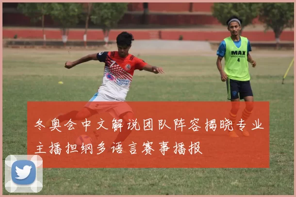 冬奥会中文解说团队阵容揭晓专业主播担纲多语言赛事播报